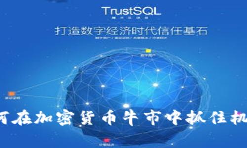 如何在加密货币牛市中抓住机会？