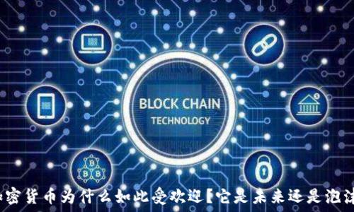   
加密货币为什么如此受欢迎？它是未来还是泡沫？