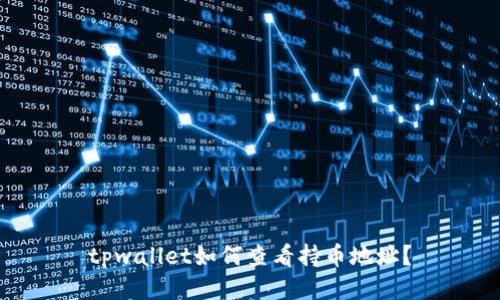 tpwallet如何查看持币地址？