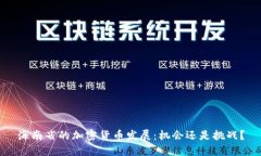 海南省的加密货币发展：机会还是挑战？