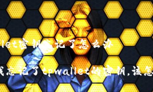 tpwallet密钥忘记了怎么办

如果我忘记了tpwallet的密钥，该怎么办？