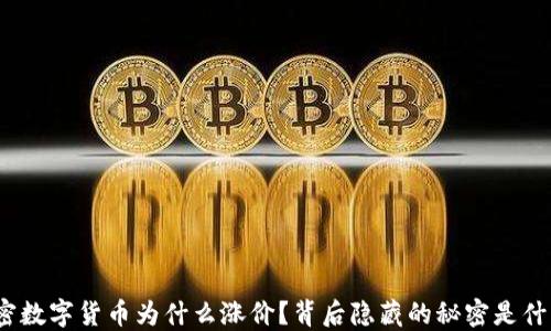 
加密数字货币为什么涨价？背后隐藏的秘密是什么？