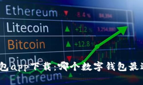 数字钱包app下载：哪个数字钱包最适合你？