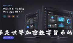 : 什么币是世界加密数字货币的领军者？