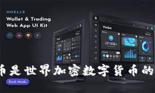 : 什么币是世界加密数字货币的领军者？
