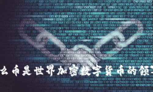 : 什么币是世界加密数字货币的领军者？
