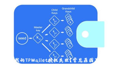 为什么我的TPWallet授权失败？常见原因及解决方案