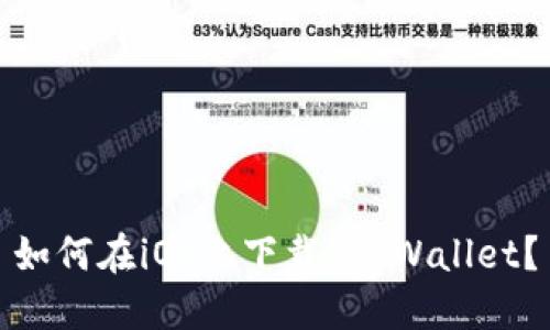 如何在iOS上下载TP Wallet？