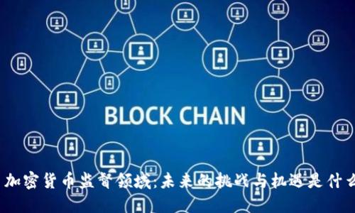 : 加密货币监督领域：未来的挑战与机遇是什么？