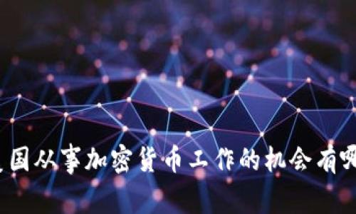 在美国从事加密货币工作的机会有哪些？