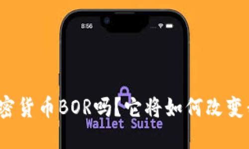 你知道什么是加密货币BOR吗？它将如何改变我们的财务未来？