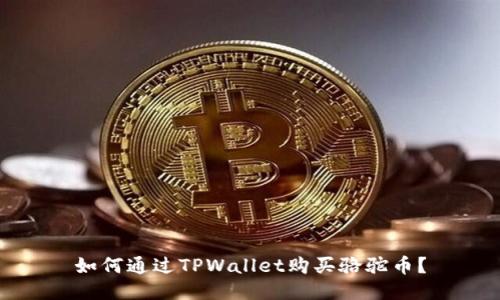 如何通过TPWallet购买骆驼币？