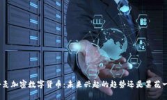 : 丹麦加密数字货币：未来兴起的趋势还是昙花一