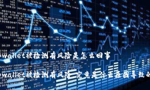 tpwallet被检测有风险是怎么回事

tpwallet被检测有风险，究竟是什么原因导致的？