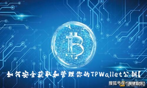 如何安全获取和管理你的TPWallet公钥？