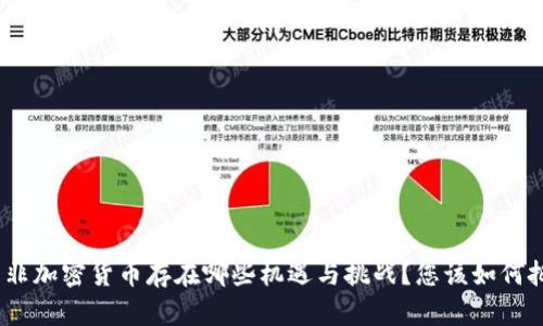: 南非加密货币存在哪些机遇与挑战？您该如何把握？