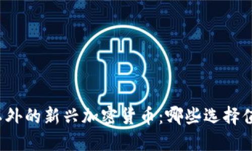 比特币以外的新兴加密货币：哪些选择值得关注？