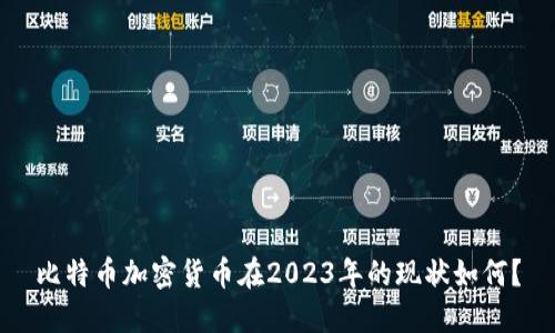 比特币加密货币在2023年的现状如何？