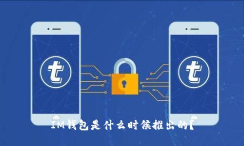 IM钱包是什么时候推出的？