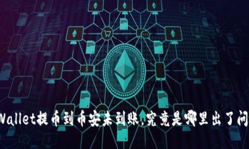 TPWallet提币到币安未到账，究竟是哪里出了问题？