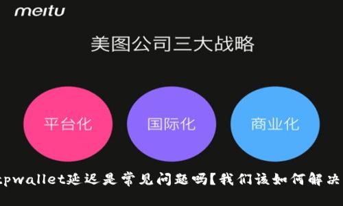 tpwallet延迟是常见问题吗？我们该如何解决？
