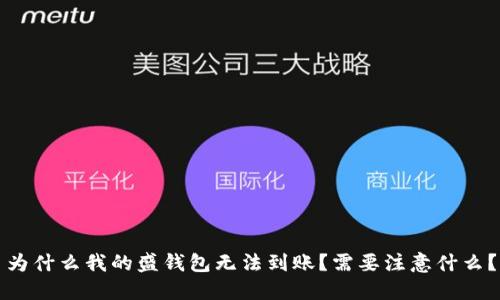 为什么我的盛钱包无法到账？需要注意什么？