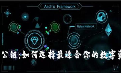 加密货币钱包公链：如何选择最适合你的数字资产存储方式？