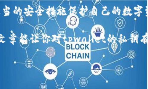 tpwallet是一个基于区块链的数字钱包，允许用户安全地存储、管理和转移他们的数字资产。其中一个重要的概念是“私钥”，那么，什么是tpwallet的私钥呢？在这篇文章中，我们将深入探讨tpwallet的私钥的含义、作用，以及用户在使用t钱包时需要注意的一些安全问题。

tpwallet的私钥是什么？

私钥是一个复杂的数字序列，功能像门的钥匙，只有拥有私钥的用户才能访问和管理他们的钱包中的数字资产。在tpwallet中，私钥用于数字货币交易和智能合约的签名。简单来说，私钥就是你控制钱包和资金的唯一凭证。

私钥的作用

在tpwallet这样的数字钱包里，私钥的作用不可小觑。它是执行交易的权限证明，任何想要转移或使用资产的用户，都必须使用他们的私钥来进行身份验证。换句话说，私钥不仅是用户与其数字资产之间的唯一联系，也是确保交易安全性的关键。

例如，假设你想要将一些比特币从你的tpwallet转给朋友。你需要使用你的私钥来签名这笔交易，以证明你是资金的合法拥有者。这一过程通过加密技术来保护，确保只有私钥的持有者才能发起这笔交易。

如何生成私钥

通常情况下，私钥是在你首次创建tpwallet时自动生成的。许多钱包应用程序使用随机数生成器来创建私钥，这意味着每一个私钥都是独一无二的，不会重复。私钥的生成是一个非常复杂的过程，确保它的安全性和不可预测性至关重要。

值得一提的是，生成私钥的同时，钱包也会生成一个与之对应的公钥。公钥可以分享给他人，以方便他们向你转账，而保护私钥则是每位用户的责任。

私钥的安全性

在使用tpwallet或任何其他数字钱包时，保护你的私钥是至关重要的。这是因为一旦私钥落入他人之手，他们将能够无限制地访问你的资产。以下是一些确保私钥安全的建议：

ul
  li备份私钥：无论是数字形式还是纸质形式，都要妥善备份你的私钥。请将其保存在安全的地方，防止丢失。/li
  li避免共享：切勿与他人分享你的私钥或密码，特别是在不安全的环境中。/li
  li使用硬件钱包：考虑使用硬件钱包来存储你的私钥。它们比软件钱包更安全，因为它们将私钥存储在离线环境中。/li
/ul

私钥丢失会发生什么？

如果用户不小心丢失了私钥，那么与之对应的资产就几乎无法恢复。这是数字货币世界的一个硬性规则，因为区块链技术的去中心化本质决定了没有等待者或中介来恢复丢失的私钥。因此，用户应该在创建钱包时就从一开始就意识到私钥的重要性。

一旦丢失私钥，用户将失去对钱包的控制。尽管有些钱包提供助记词作为私钥的备份，但是如果这一助记词未被妥善保存，用户同样会面临资产丢失的风险。记住，确保你的私钥或助记词的安全性是你的唯一保障。

私钥与助记词的区别

在讨论tpwallet的私钥时，一个常见的误区是把私钥和助记词混为一谈。虽然二者都与钱包的安全性息息相关，但它们有着本质的区别。私钥是唯一的数字序列，而助记词则是由几个词组成的短语，通常用作私钥的备份。

助记词通常由12个或24个单词组成，提供了另一种形式来恢复钱包。助记词是由钱包生成的，格式友好，容易记忆。因此，如果你担心如果丢失了私钥，这时助记词就显得尤为重要。

总结

总的来说，tpwallet的私钥是用户访问和管理其数字资产的关键。每位用户都应当重视私钥的生成、保存和使用，通过适当的安全措施保护自己的数字资产不被丢失或盗取。无论是在选用数字钱包时，还是在管理个人资产时，我们都应该时刻铭记：安全第一。

通过了解什么是spantpwallet/span的私钥，用户可以更有效地管理他们的钱包，提高对数字资产的控制力。希望这篇文章能让你对tpwallet的私钥有更清晰的认识，并帮助你在使用数字资产时更加自信和安全。

tpwallet, 私钥, 数字钱包, 区块链, 数字资产/guanjianci