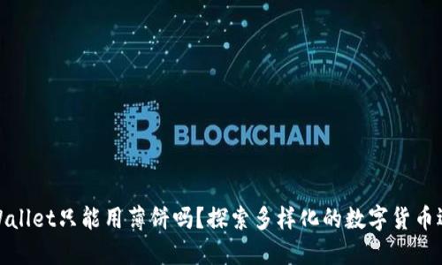 TPWallet只能用薄饼吗？探索多样化的数字货币选择