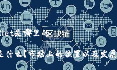 币圈tpwallet是哪里的

tpwallet是什么？市场上的位置以及发展前景如何？