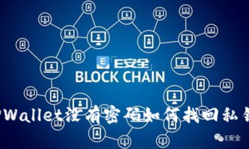 TPWallet没有密码如何找回私钥？