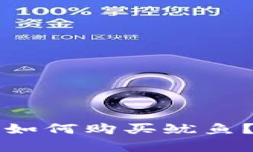 tpwallet究竟如何购买鱿鱼？你的完整指南