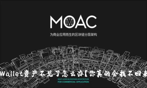  TPWallet资产不见了怎么办？你真的会找不回来吗？