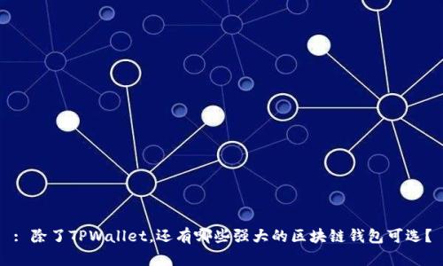 : 除了TPWallet，还有哪些强大的区块链钱包可选？