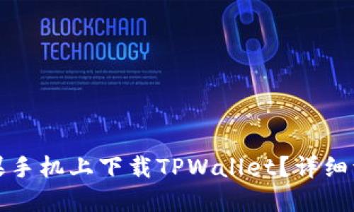 如何在苹果手机上下载TPWallet？详细流程图指导