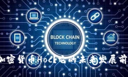 什么是加密货币Hoc？它的未来发展前景如何？