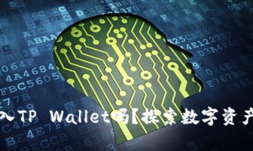 莱特币可以存入TP Wallet吗？探索数字资产存储的可能性