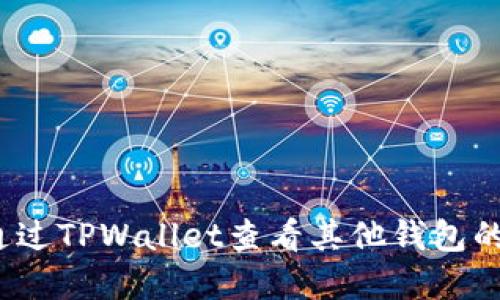 如何通过TPWallet查看其他钱包的资产？
