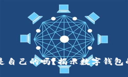 TPWallet的钱是自己的吗？揭示数字钱包的本质与安全性