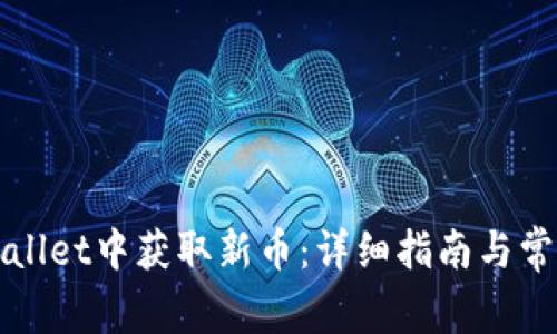 如何在TPWallet中获取新币：详细指南与常见问题解答