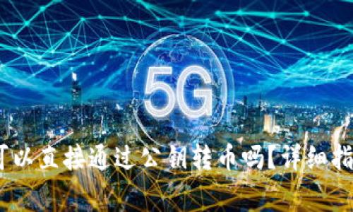 briaotitpwallet可以直接通过公钥转币吗？详细指南与常见问题解答