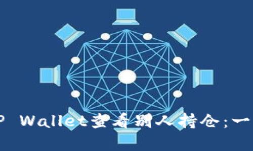 如何在TP Wallet查看别人持仓：一站式指南