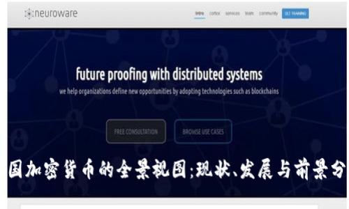 中国加密货币的全景视图：现状、发展与前景分析