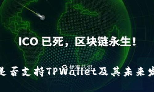 : 中国是否支持TPWallet及其未来发展前景