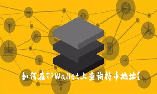  如何在TPWallet上查询持币地址？