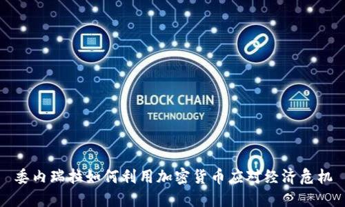 委内瑞拉如何利用加密货币应对经济危机