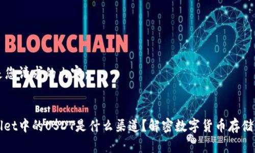 以下是您请求的内容：


tpwallet中的USDT是什么渠道？解密数字货币存储与交易