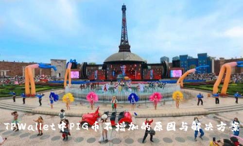TPWallet中PIG币不增加的原因与解决方案