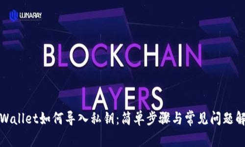 TPWallet如何导入私钥：简单步骤与常见问题解答