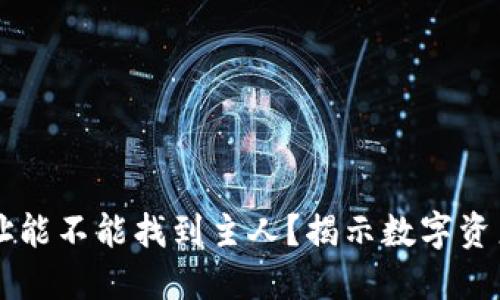 TPWallet地址能不能找到主人？揭示数字资产保护的秘密